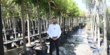 Kağıthane’ye 50 bin ağaç ve 1 milyon metrekare yeşil alan kazandırıldı