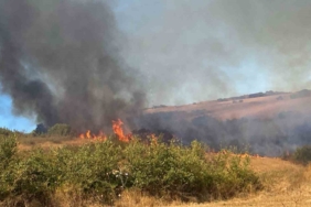 Manyas Yeniköy’de çıkan yangına ekiplerden ortak müdahale