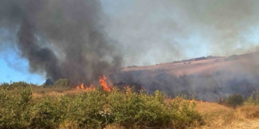 Manyas Yeniköy’de çıkan yangına ekiplerden ortak müdahale