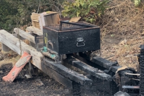 Çanakkale’deki orman yangınında arı kovanları alevlere teslim oldu