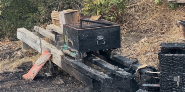 Çanakkale’deki orman yangınında arı kovanları alevlere teslim oldu