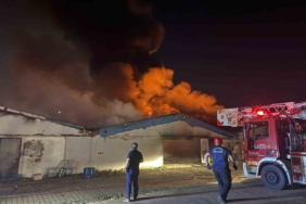 Sakarya’da boya fabrikasında yangın