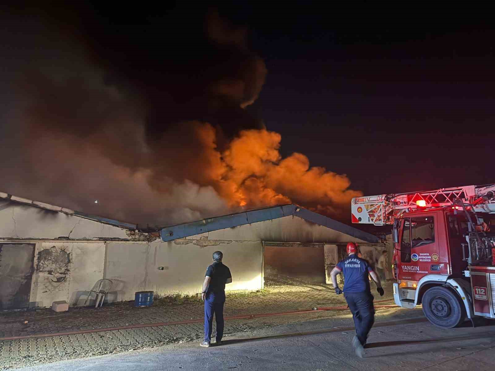 Sakarya’da boya fabrikasında yangın
