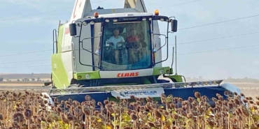 Kaymakam, üreticiyle ayçiçeği hasat etti