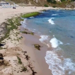 Şile’de deniz adeta yosun kustu