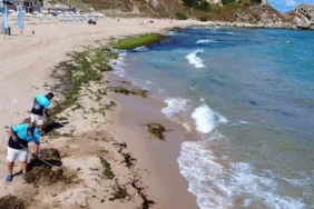 Şile’de deniz adeta yosun kustu