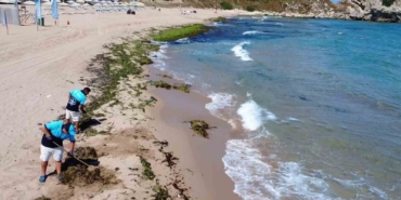 Şile’de deniz adeta yosun kustu