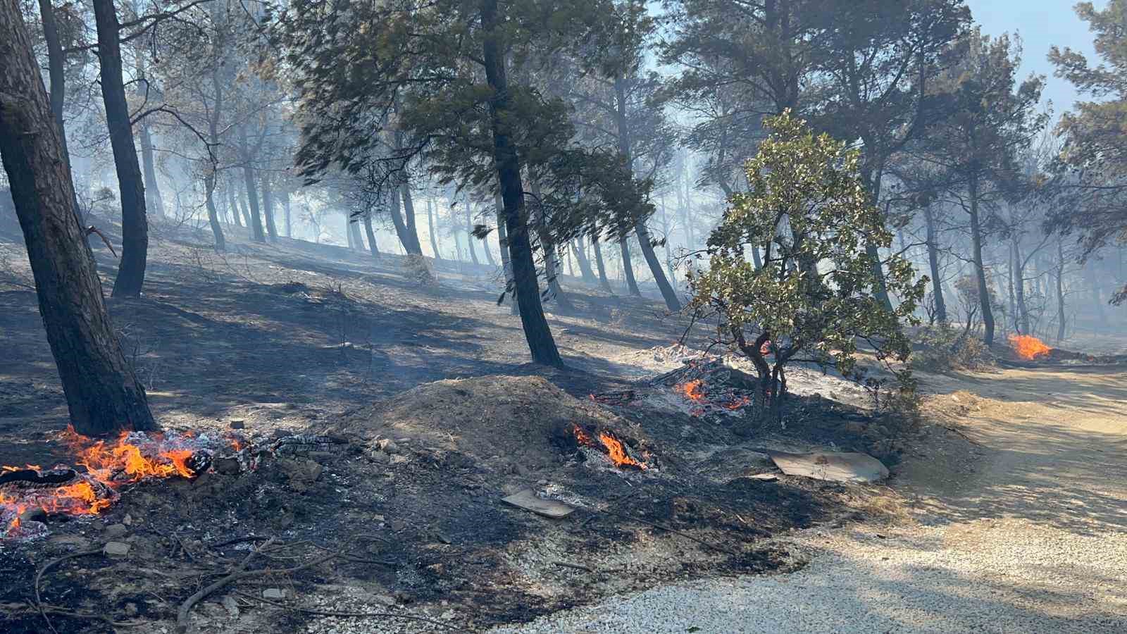 Çanakkale’de ormanlık alana sıçrayan yangında villalar yandı
