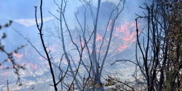 Erdek’te çıkan orman yangını kontrol altına alındı