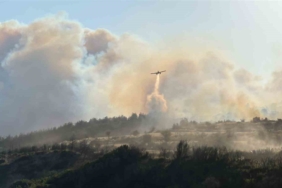 Gelibolu’da çıkan orman yangınında Yolağzı köyü tedbiren tahliye ediliyor
