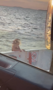 Feribottan denize atlayan yolcunun görüntüleri ortaya çıktı