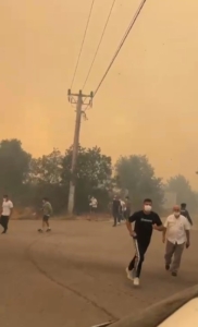 İznik - Karamürsel arasındaki yangın büyüyor