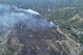 Tekirdağ Valiliği: "Uçmakdere’deki orman yangını kontrol altına alındı"