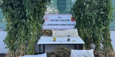 Kocaeli’de 12 kilo esrar ve 583 kök kenevir ele geçirildi