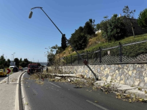 Üsküdar’da ağaç seyir halindeki otomobilin üzerine devrildi