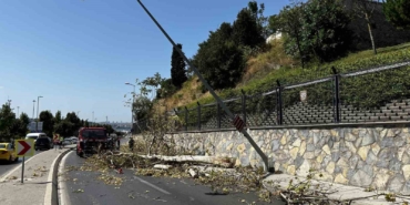 Üsküdar’da ağaç seyir halindeki otomobilin üzerine devrildi