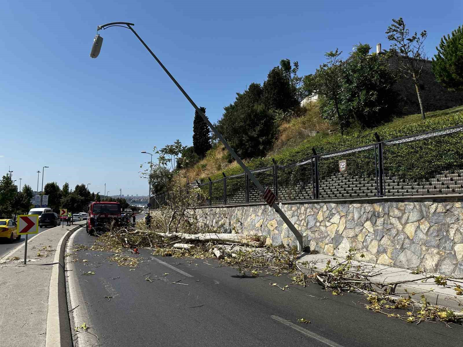 Üsküdar’da ağaç seyir halindeki otomobilin üzerine devrildi