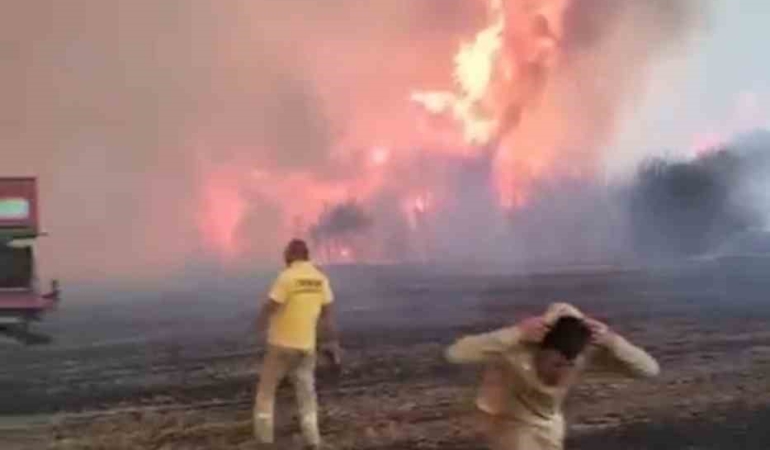Çanakkale’de alev savaşçılarının zorlu mücadelesi kamerada