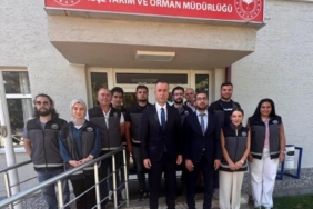 İl Müdürü Çetin Ayvalık, ilçelerde çalışmaları yerinde inceledi