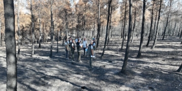 Çanakkale Orman Bölge Müdürü Demirci: "2025 yılında 130 adet orman yangınında 8 bin 196 hektar orman alanımız zarar görmüştür"