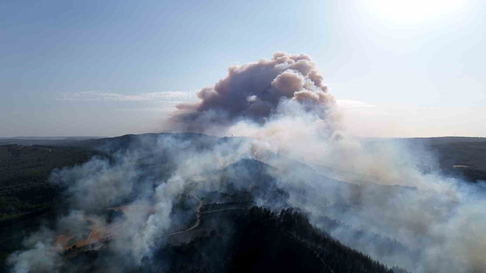 Gelibolu’da çıkan orman yangını dron ile görüntülendi