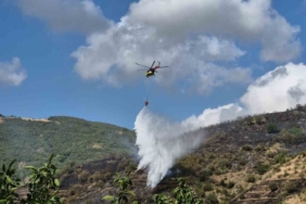 Tekirdağ’daki makilik yangını kontrol altına alındı