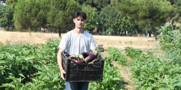 Gazi Tarım’da hasat zamanı