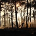 Bakan Yumaklı, yangın büyük ölçüde kontrol altına alındı