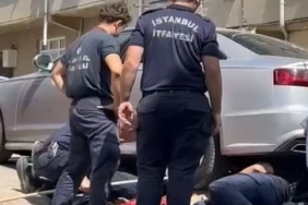 Gurbetçi aileye dönüş zamanı kedi sürprizi