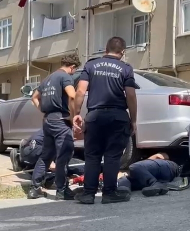 Gurbetçi aileye dönüş zamanı kedi sürprizi