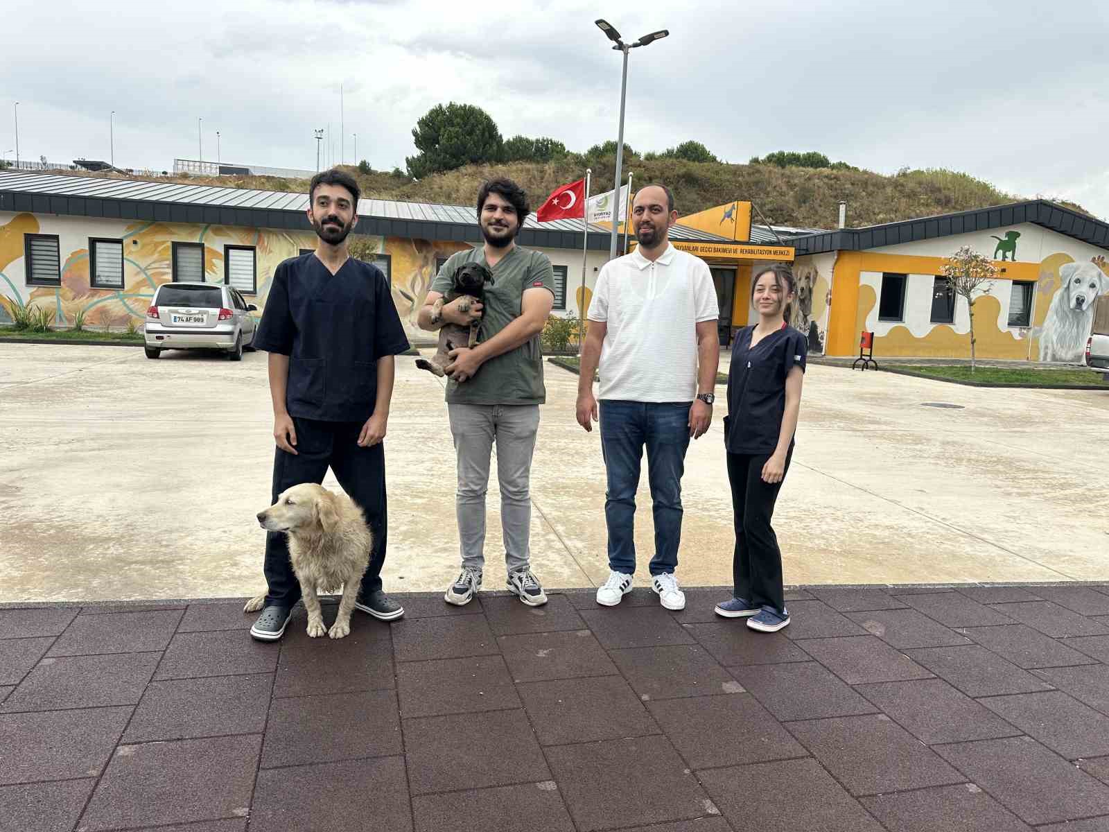 Zifte bulanan yavru köpek rehabilitasyon merkezinde yaşama tutundu