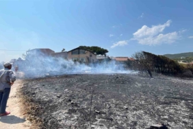 Erdek’te arazi yangını kısa sürede söndürüldü: Can ve mal kaybı yaşanmadı