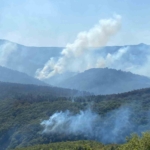 963 personel, 16 hava aracı ile Karamürsel’deki yangına büyük seferberlik