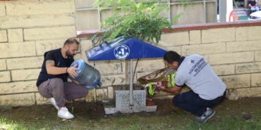 Yazın sıcak günlerinde Küçükçekmece Belediyesi’nden sokak hayvanlarına can suyu çağrısı