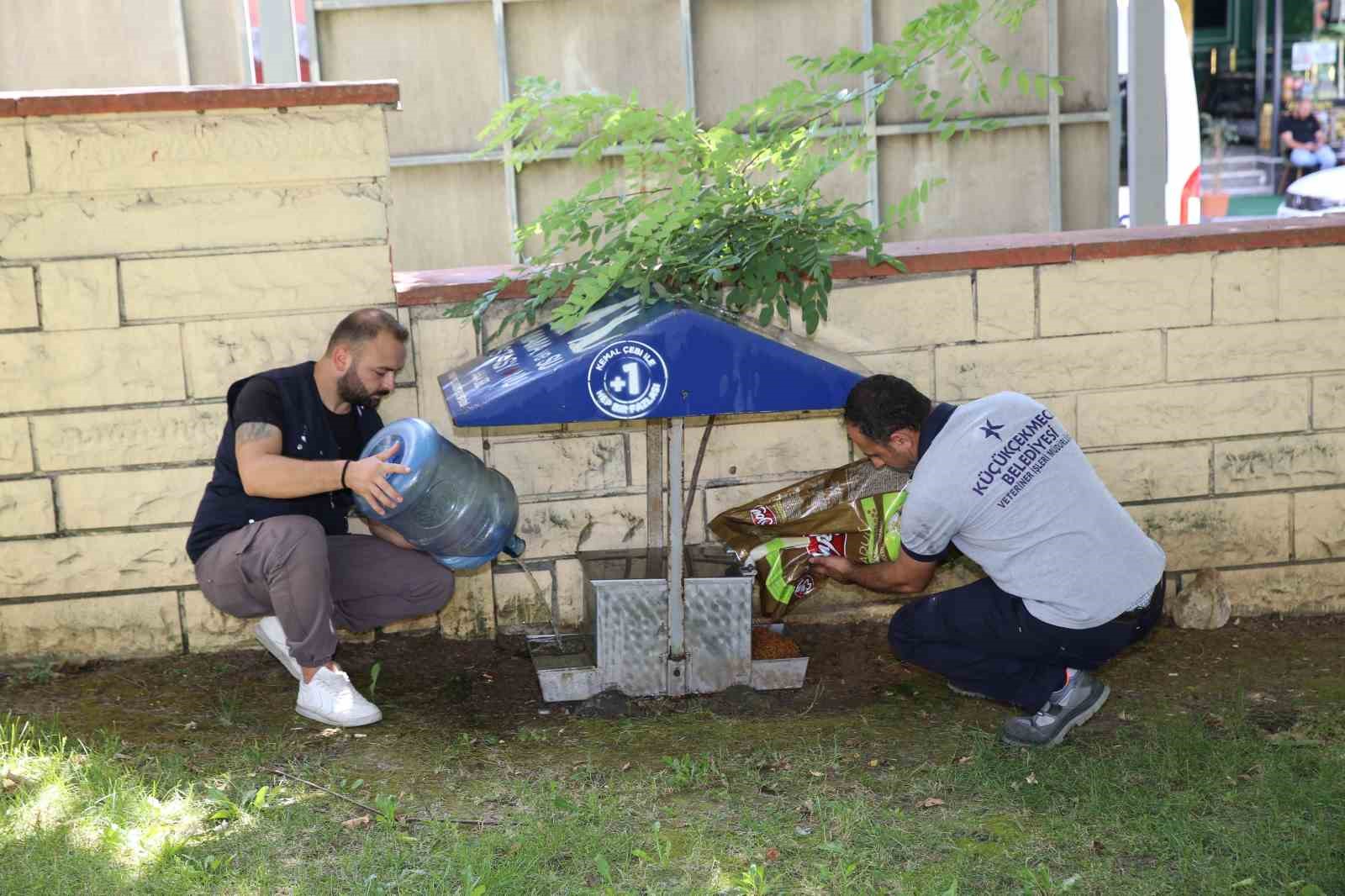 Yazın sıcak günlerinde Küçükçekmece Belediyesi’nden sokak hayvanlarına can suyu çağrısı