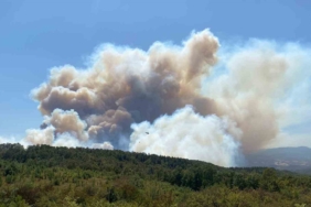 Kocaeli’deki orman yangınına havadan ve karadan müdahale ediliyor