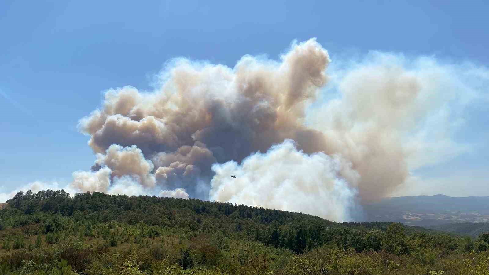 Kocaeli’deki orman yangınına havadan ve karadan müdahale ediliyor