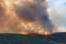Bursa’da orman yangınıyla amansız mücadele sürüyor