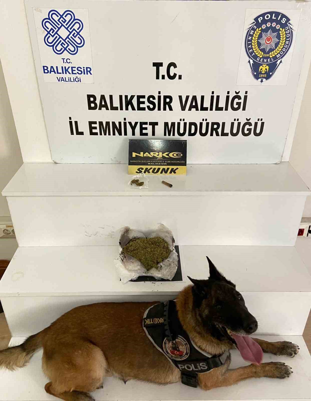 Balıkesir’de 485 gram esrar ele geçirildi