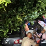 Kontrolden çıkan otomobil, ağaçlık alana girdi: 3 yaralı