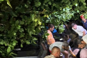 Kontrolden çıkan otomobil, ağaçlık alana girdi: 3 yaralı