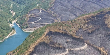 Kocaeli’de yangın sonrası yürek burkan manzara
