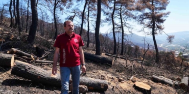 3 bin kilo tohum, yanan bölgelerde toprakla buluşacak