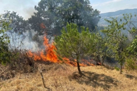 Makilik alanda çıkan yangın ekiplerin hızlı müdahalesiyle söndürüldü