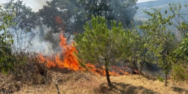 Makilik alanda çıkan yangın ekiplerin hızlı müdahalesiyle söndürüldü