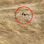 Uygunsuz hareketler sergileyen iki genç gözaltına alındı