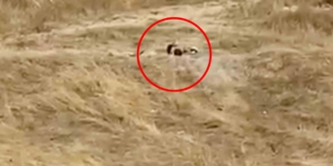 Uygunsuz hareketler sergileyen iki genç gözaltına alındı