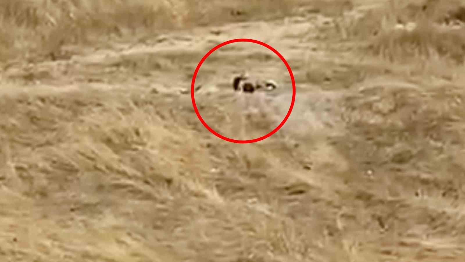 Uygunsuz hareketler sergileyen iki genç gözaltına alındı