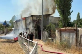 Bursa’da hayvan damı yandı: 1 at, 2 keçi telef oldu