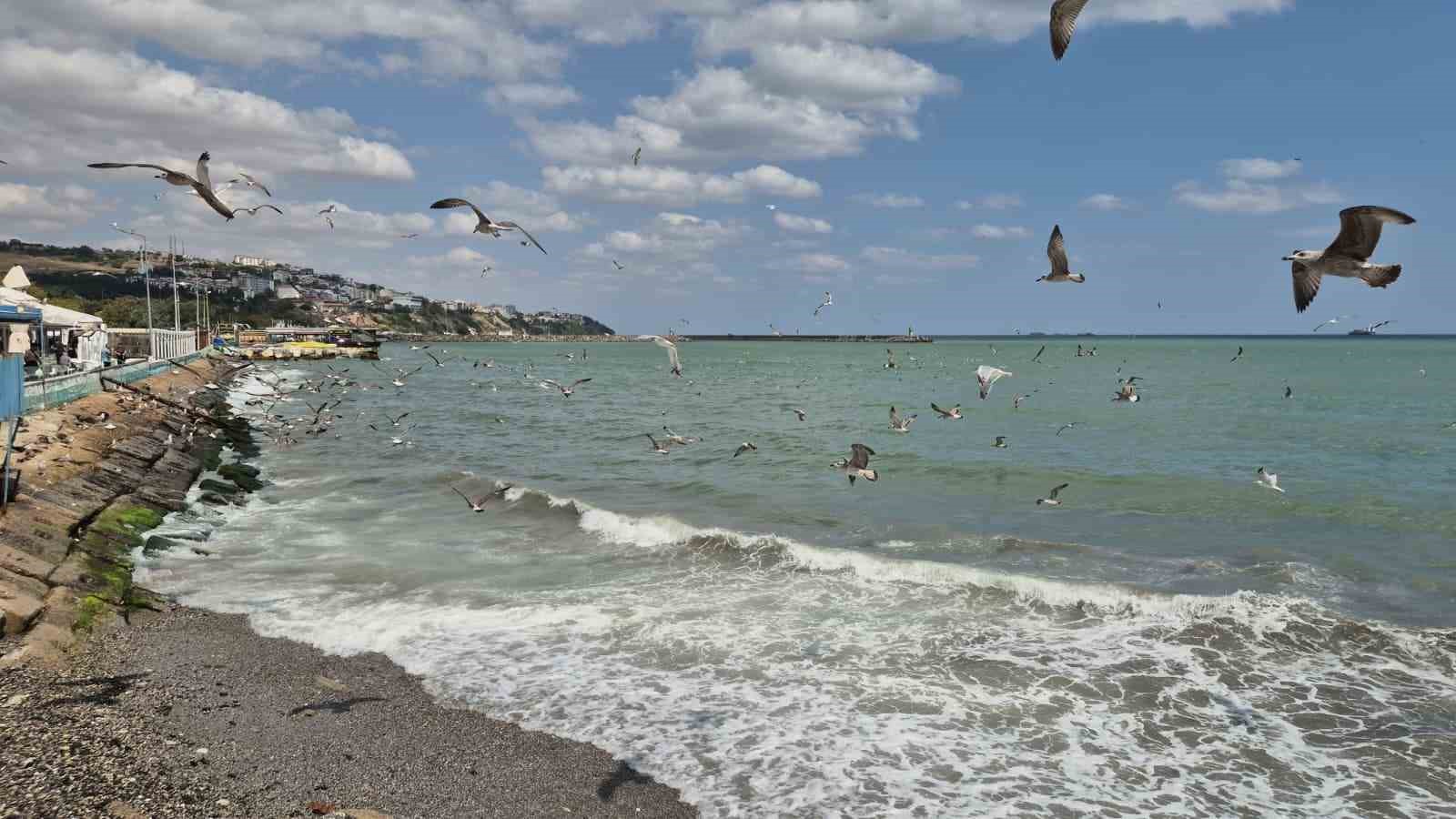 Tekirdağ’da poyraz deniz ulaşımını aksattı
